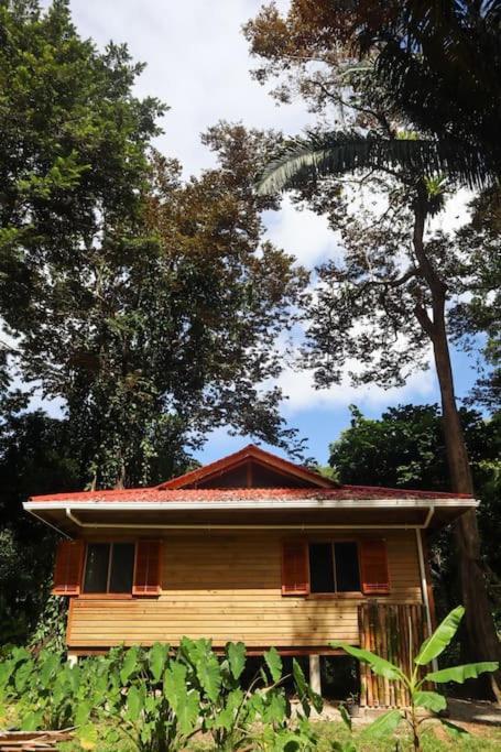 Jungle Beach 2 Bedroom Cottage Μπόκας ντελ Τόρο Εξωτερικό φωτογραφία