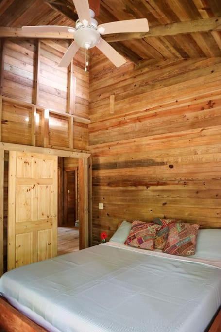 Jungle Beach 2 Bedroom Cottage Μπόκας ντελ Τόρο Εξωτερικό φωτογραφία