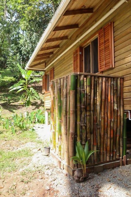 Jungle Beach 2 Bedroom Cottage Μπόκας ντελ Τόρο Εξωτερικό φωτογραφία