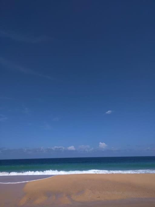 Jungle Beach 2 Bedroom Cottage Μπόκας ντελ Τόρο Εξωτερικό φωτογραφία